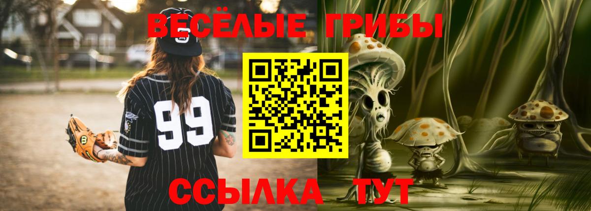 Псилоцибиновые грибы мицелий Зерноград