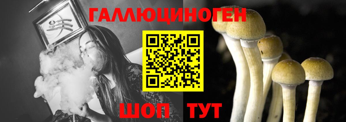 Псилоцибиновые грибы мицелий  Вход с VPN  Зерноград 